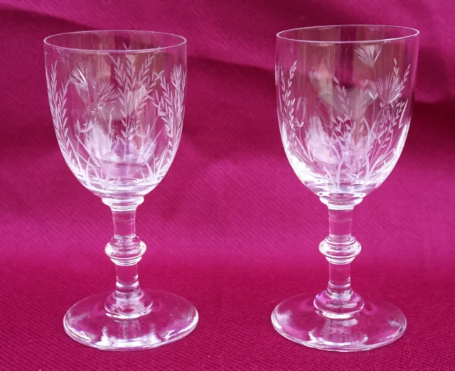 French Art Glass Etched Crystal Stemware Pair Cherry Corial Glass Floral Pattern