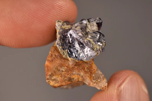 *AUSTRALIAN MOLYBDENITE* Specimen 2.3cm 7.7g In Quartz Rough Kingsgate NSW *AUSTRALIAN MOLYBDENITE* Specimen 2.3cm 7.7g In Quartz Rough Kingsgate NSW