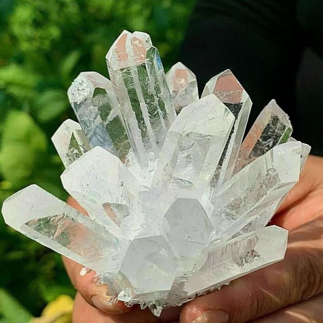 New Find white Phantom Quartz Crystal Cluster Mineral Specimen Healing 300g+/1pc 11