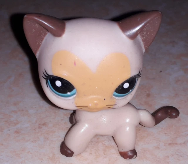 LITTLEST PET SHOP LPS #1170 HASBRO CAT CHAT EUROPEEN MARRON & BEIGE YEUX BLEUS