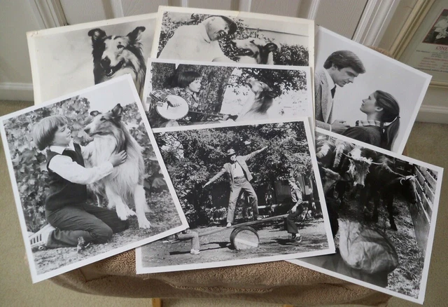 Lot 7 Magic of Lassie 1978 photos Jimmy Stewart Stephanie Zimbalist Sharrett