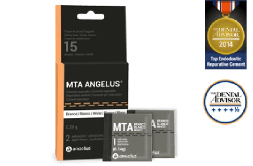 MTA (agrégat de trioxyde minéral) Matériau Angelus Dental
