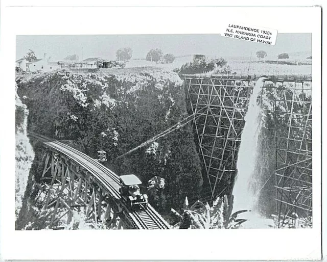 LAUPAHOEHOE N.E. HAWAII ISLAND 1920s  BLACK & WHITE  PHOTO ON 8X10" MAT