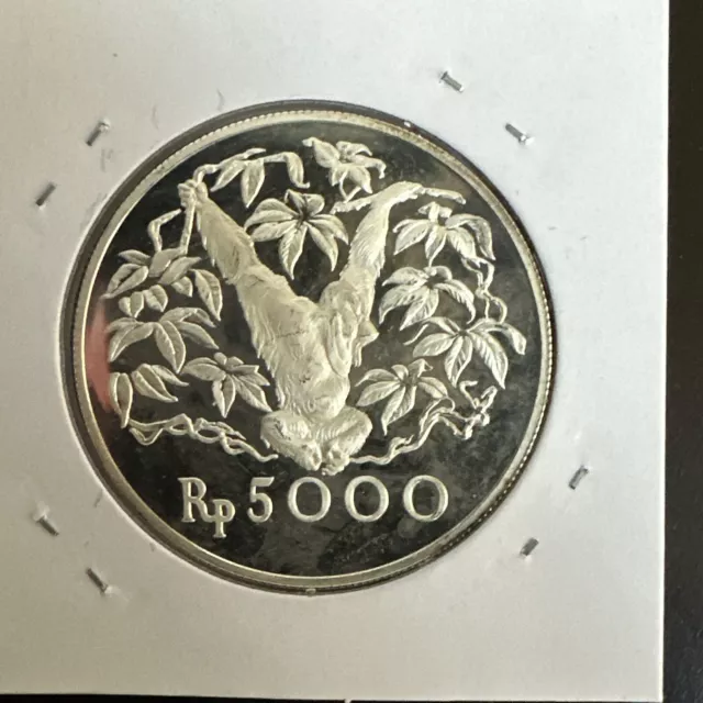 Indonesia 5000 rupiah Animal series Orangutan proof silver coin 1974