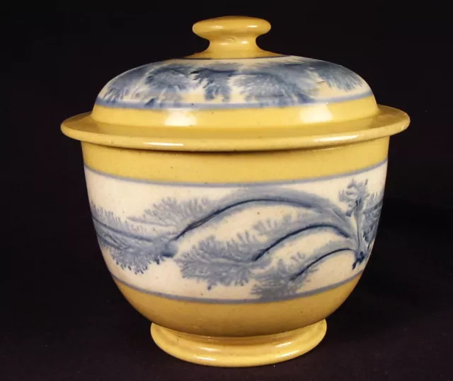 RARE 1800s BLUE SEAWEED SUGAR BOWL with LID MOCHAWARE MOCHA YELLOW WARE MINT