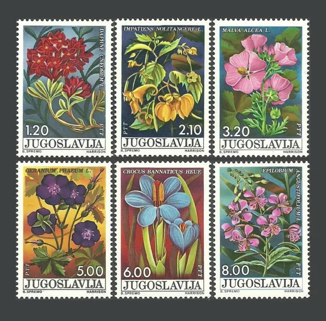 Yugoslavia Stamps 1975 Forest Flowers - MNH