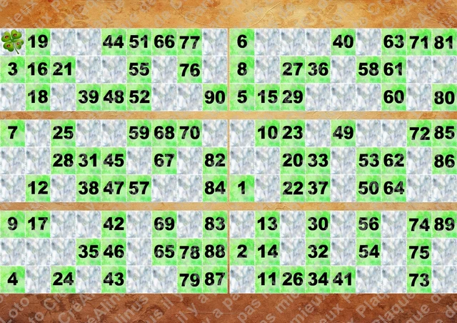 PLAQUE DE 6 cartons de loto plastifier 100 microns par face neuf A4