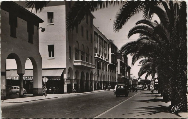 CPA AK MAROC RABAT L'Avenue DAR-El-Maghzen (31360)