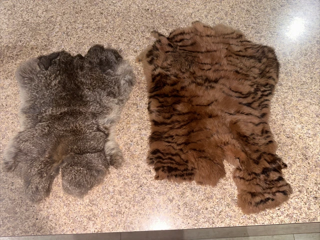 Lot 2 Rabbit or Squirrel Fur Pelt + tiger stripped animal unknown