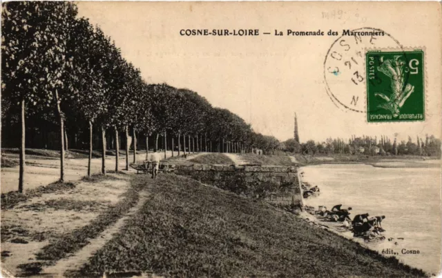 CPA COSNE-sur-LOIRE - La Promenade des Marroniers (293041)