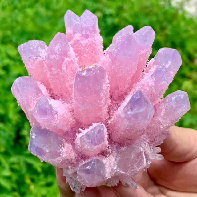 440G New find pink Phantom Quartz Crystal Cluster Mineral Specimen Healin