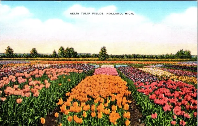FLOWERS, Nelis Tulip Fields, HOLLAND, Michigan Linen Postcard - E.C. Kropp