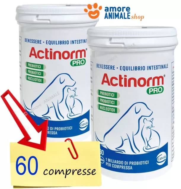 ACTINORM → 60 compresse per CANI e GATTI  >> Regola la funzionalità Intestinale