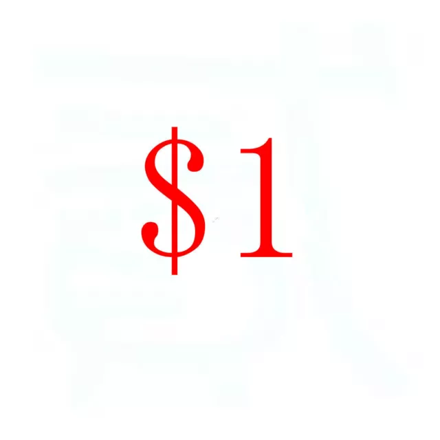 Extra Shipping Fee or Other Fees Pls Bid This one
