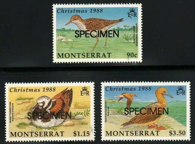 =WOW= MONTSERRAT #703-705 SEABIRDS, COMPLETE SET MNH, SPECIMEN OVRPRT, Free S&H