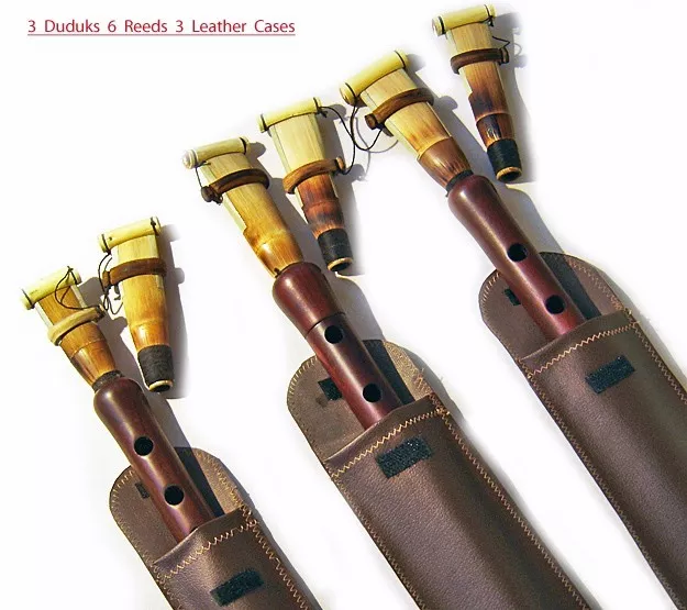 3 Armenian PRO Duduk +6 REEDS 3 Leather Case DUDEK Professional Oboe Flute Mey