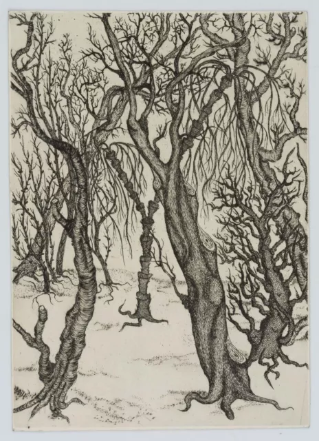 OSTEN-SACKEN (20.Jhd), Altes Gehölz, Bäume im Winter, um 1940, Rad. Gegenständli 2