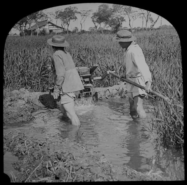 PUMPING WATER INTO RICE FIELDS CHINA C1920 Magic Lantern Slide PHOTO SHANGHAI ?