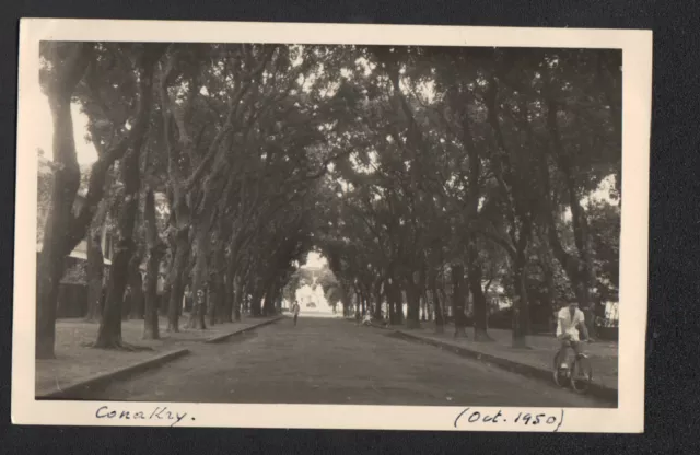 CONAKRY (GUINEE) AVENUE , Carte-Photo animée en 1950