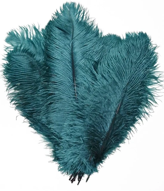 10Pcs Ostrich Feathers 10Inch Plumes for Wedding Centerpieces Home Decoration (T