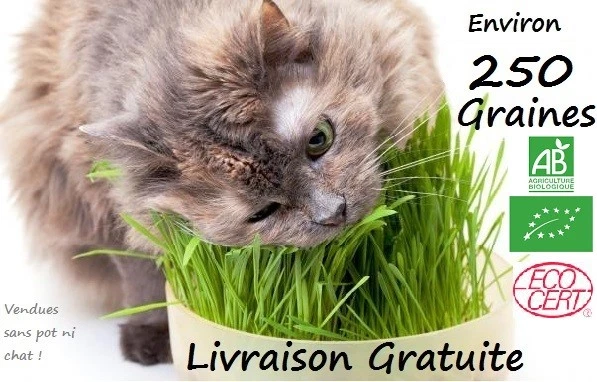 Herbe à Chat Dépurative Naturelle Zolux - Foto 7