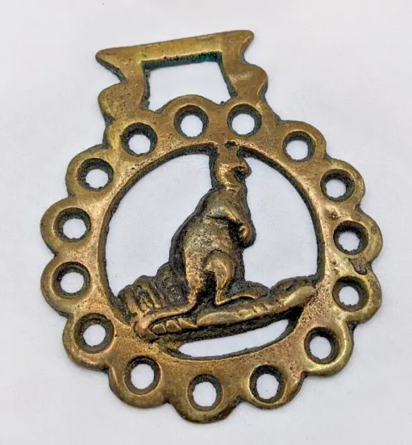 Brass Horse Medallion Vintage English Kangaroo Aussie Jack Jill Joey Show Parade