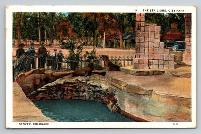 Denver Colorado Sea Lions City Park Zoo Posted 8/15/1928 CO Postcard