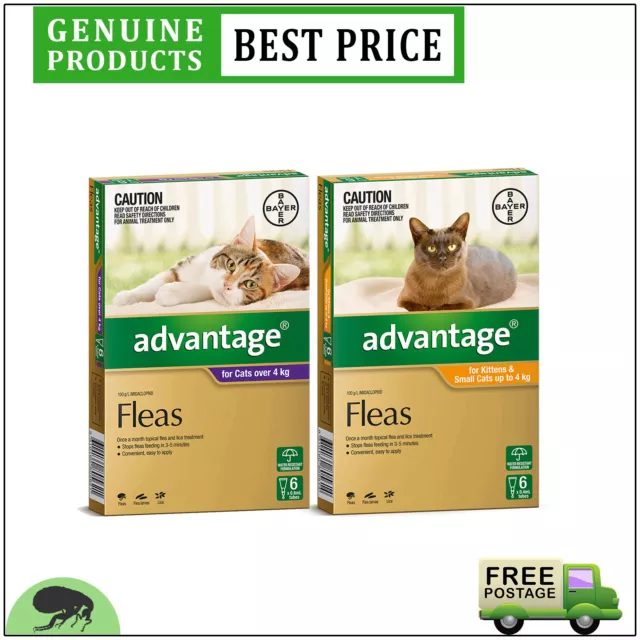 ADVANTAGE 6 Doses Flea Treatment for Cats All Sizes AU FREE Shipping