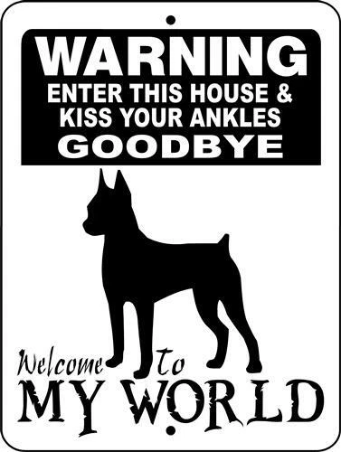 0632 Rat Terrier 9"x12" Aluminum Sign