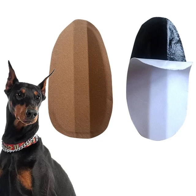 Corrección del oído Soporte de oído para perro Oreja de perro Erección del oído