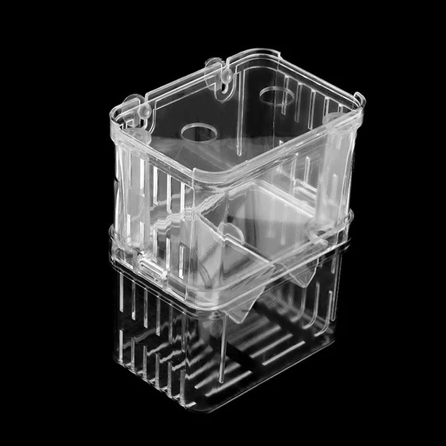 Fish Breeding Aquarium Box Tank Isolation Incubator Hatchery Breeder ca 3
