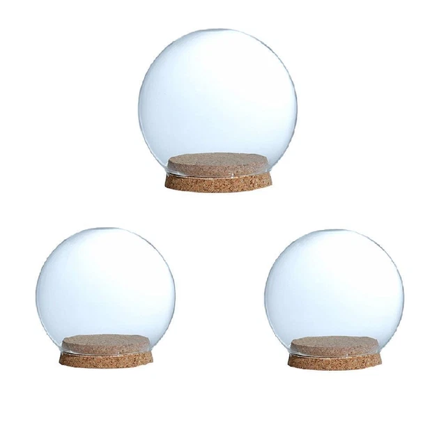 3 Stück Glas Cloche Bell Jar Dome Flower Preservation Vase Mit Holzsockel