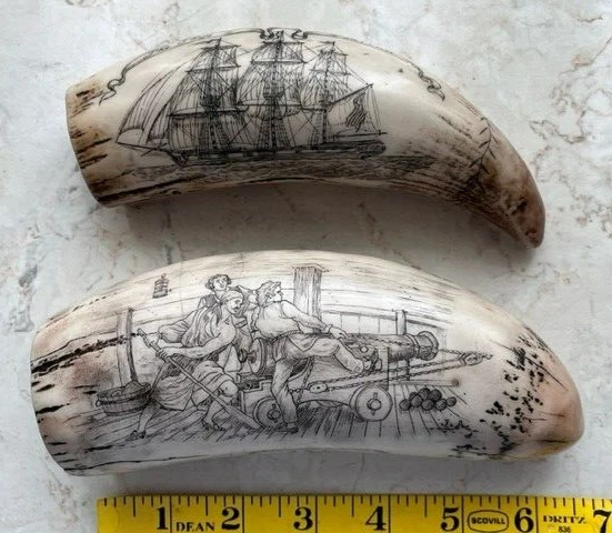 2 Scrimshaw Sperm Whale Teeth Resin REPRODUCTION Whaling Ships 1815 Napoleon