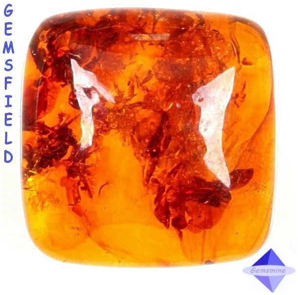 5.50cts !!! Ambre de la Baltique 100% NATUREL !!! poli AAA++ !!!