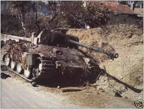 COLOR WWII  Photo German Pzkpfw. V Panther Burned  WW2 World War Two Panzer