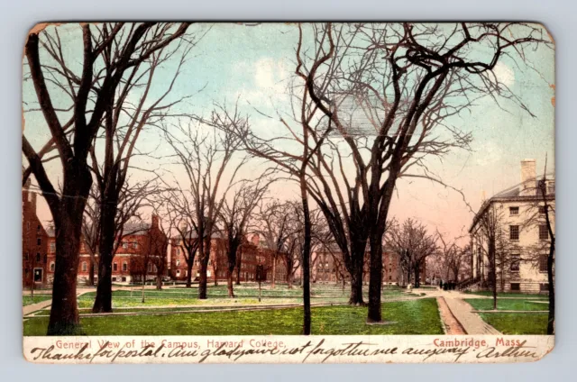 Cambridge MA-Massachusetts, Harvard College Campus, Vintage c1907 Postcard