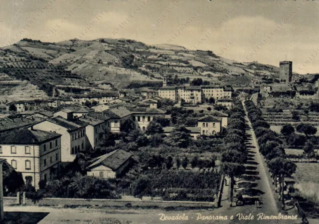 1955 DOVADOLA Panorama Viale Rimembranze Forlì Cesena Cartolina