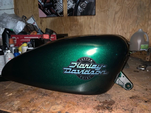 2021 harley davidson snake venom