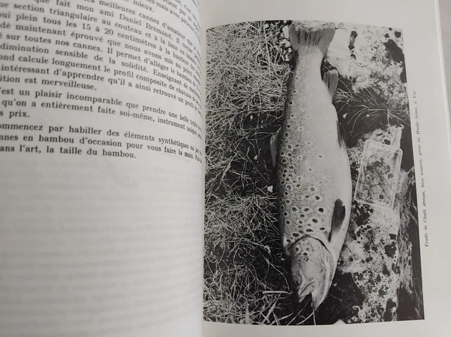 Kron: La pêche à la fine mouche