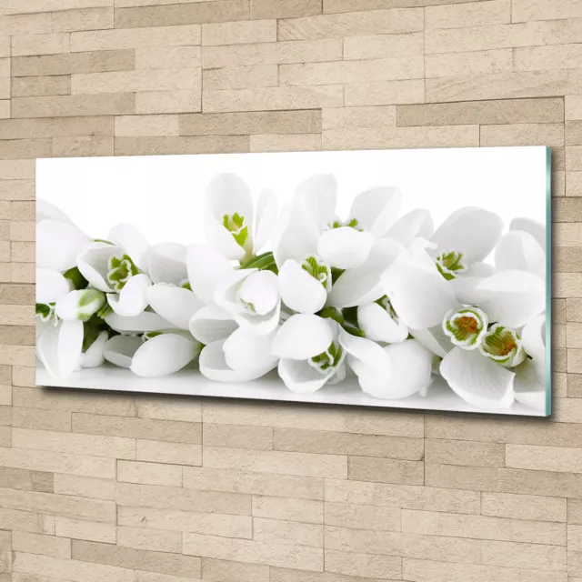 Glas-Bild Wandbilder Druck auf Glas 125x50 Blumen & Pflanzen Schneeglöckchen