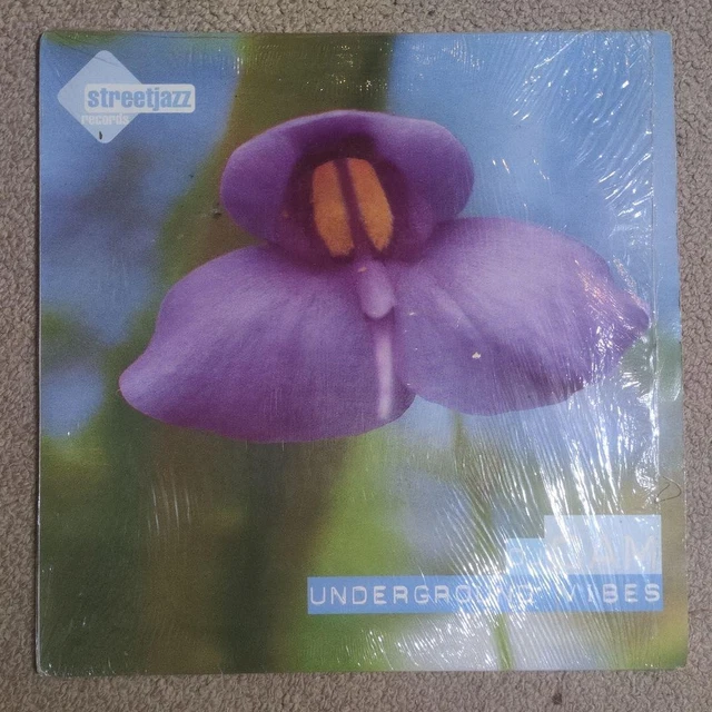 DJ CAM VINTAGE Beats 1999-2003 Lp Record $134.90 - PicClick