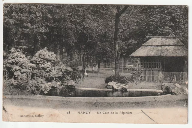 NANCY - CPA 54 - LA PEPINIERE - le coin des Oiseaux