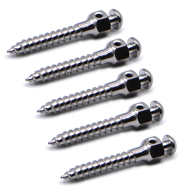 5 Packs 1.6*10mm Dental Micro Mini Screws Orthodontic Anchorage Nails