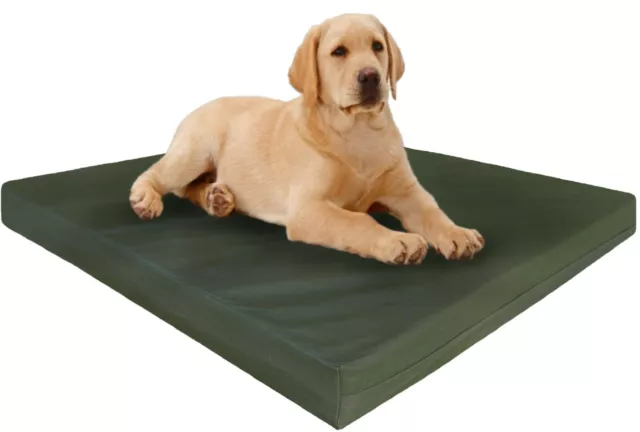 Dogbed4less XL Extra Large Orthopedic Canvas Memory Foam Pet Dog Bed 54X37 Crate