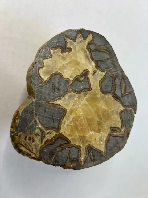 (2) BEAUTIFUL SEPTARIAN Nodule Geode Dragon Stone Polished Sides - 8 ...