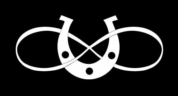 Infinity horseshoe lucky charm sticker vinyl decal, car, doors, bumper laptop