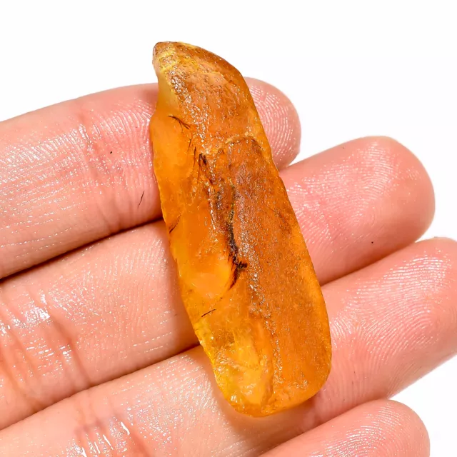 14.50Cts. Natural A+ Quality Baltic Amber 42X15X9 MM Fancy Rough Loose Gemstone