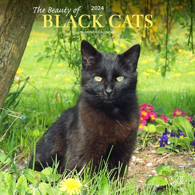 THE BEAUTY OF Black Cats 2024 12x24" Monthly Square Wall Calendar 22