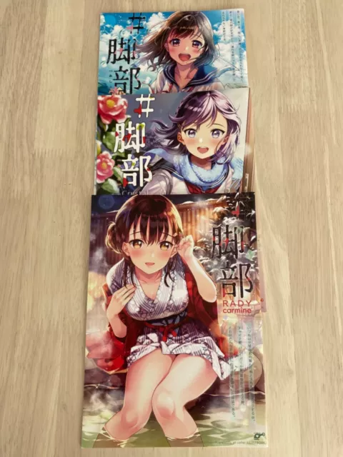Doujinshi full color illustration Ashibu Original Art Book Set lot of 3