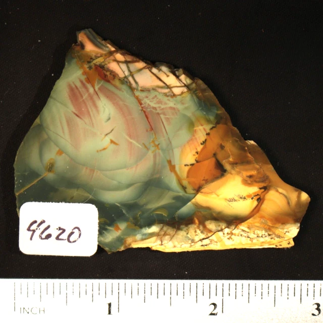 Morrisonite Jasper Lapidary Rock Slab #4620